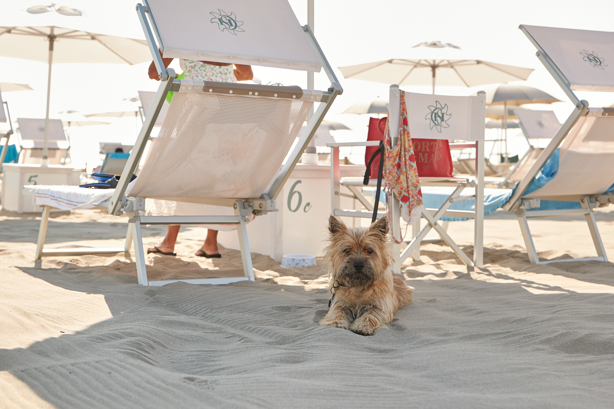 Private beach bagno giuliano hotel saraceno 4 stars pet friendly