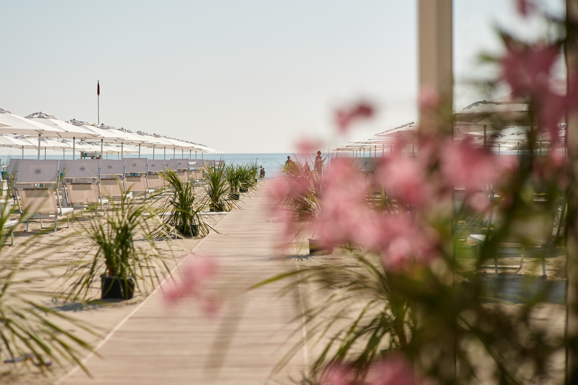 bagno giuliano 247 milano marittima spiaggia distanziata con oleandri