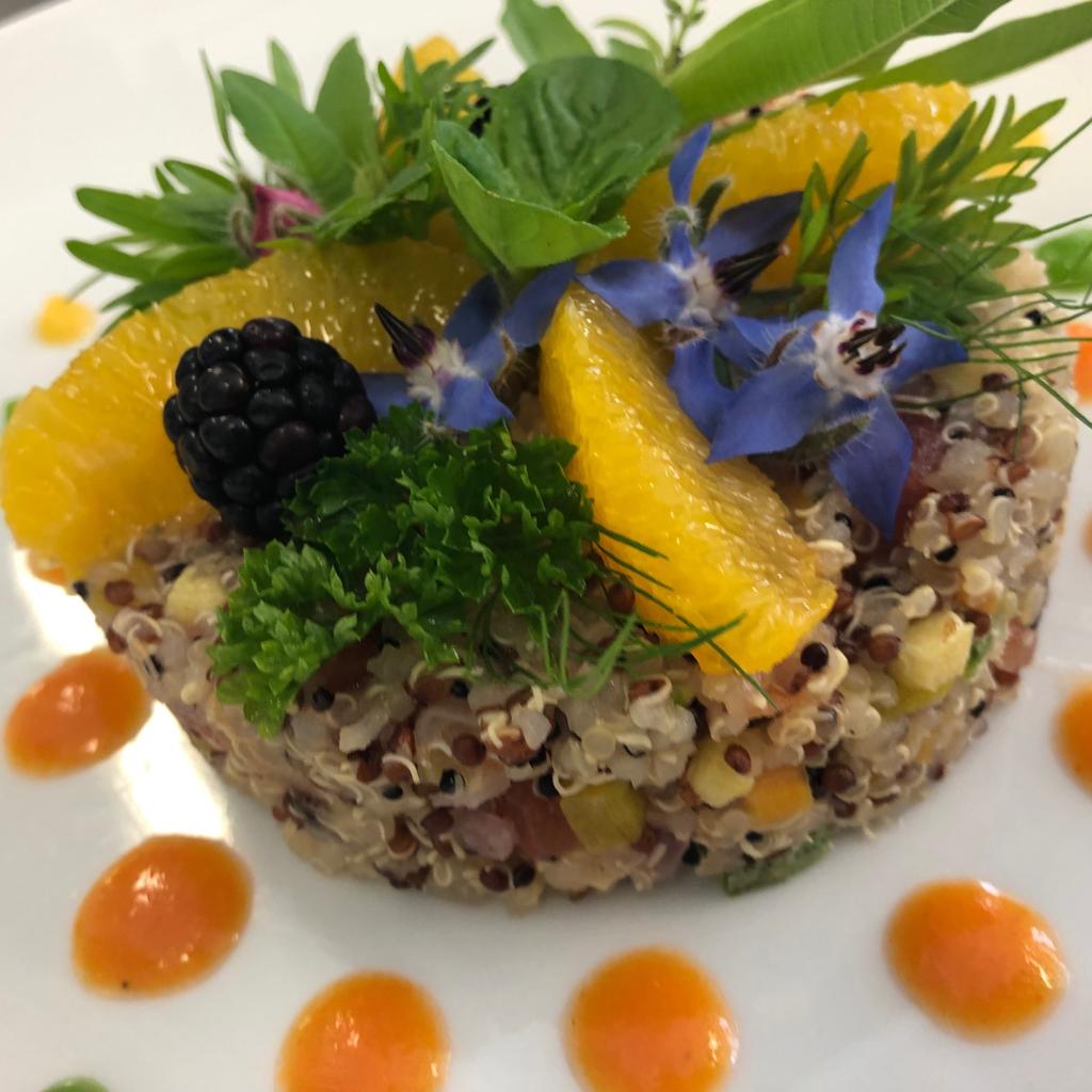 quinoa hotel saraceno milano marittima