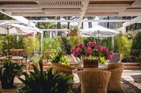 giardino hotel saraceno milano marittima