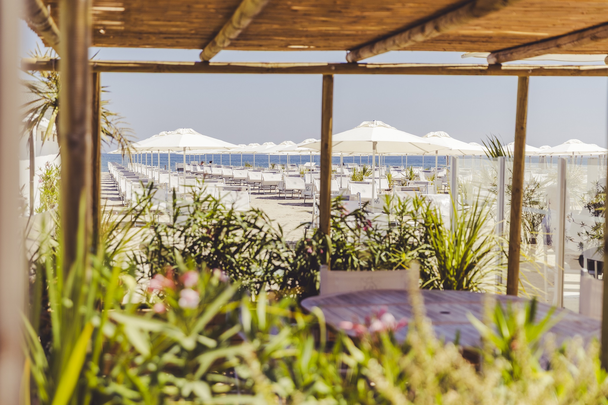 Bagno Giuliano 247 a Milano Marittima il bagno pi&ugrave; bello di milano marittima con il miglior ristorante aperto fino alle 17:00